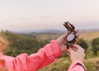 El arte de seguir tu propia brújula Imagen de freepik