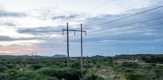 ETED realizará trabajos de mantenimiento en líneas de alta tensión