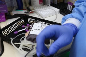 La biología es una rama de la ciencia con vital importancia en la vida humana