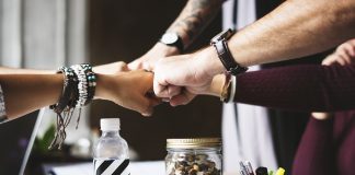 El viaje del colaborador: claves para construir culturas organizacionales sostenibles
