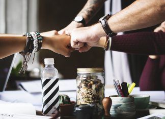 El viaje del colaborador: claves para construir culturas organizacionales sostenibles