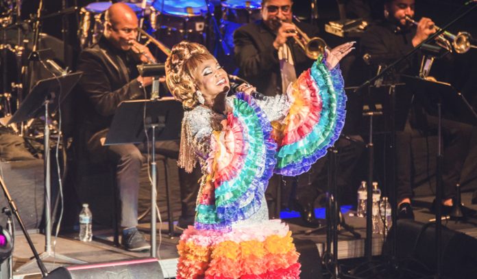 “Celia Cruz: el musical” recreará la vida de la reina de la salsa.