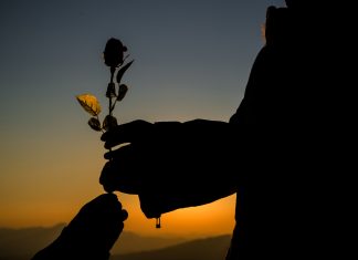 Cuando-el-corazón-duele-pero-agradece  