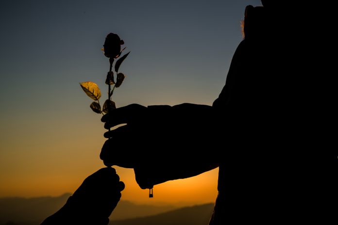 Cuando-el-corazón-duele-pero-agradece  