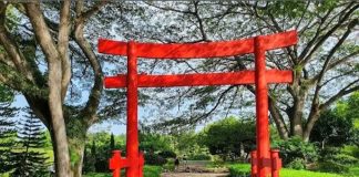 Debemos cuidar y respetar el Jardín Botánico.