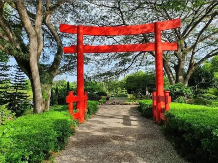 Debemos cuidar y respetar el Jardín Botánico. Debemos cuidar y respetar el Jardín Botánico.
