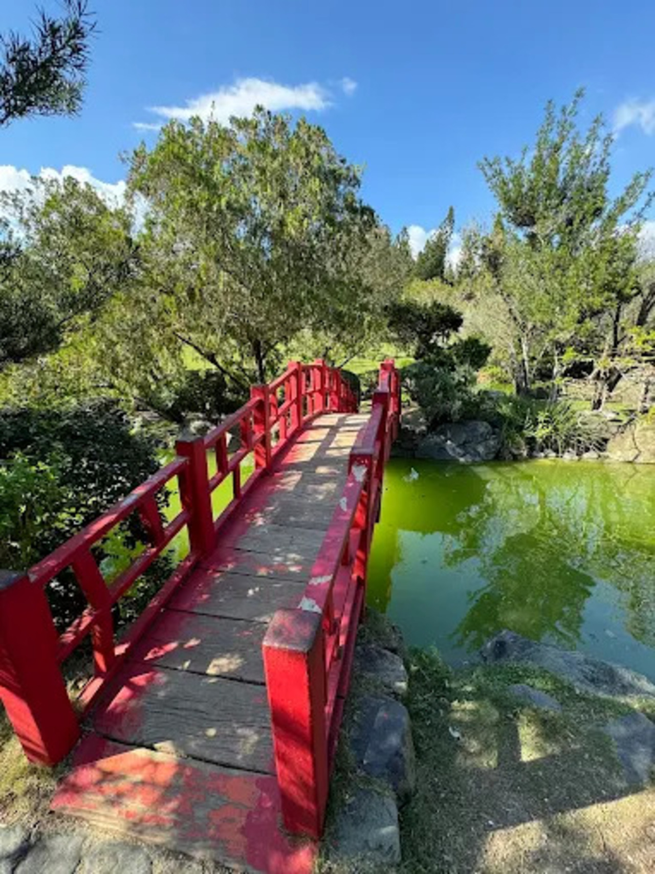 Debemos cuidar y respetar el Jardín Botánico.