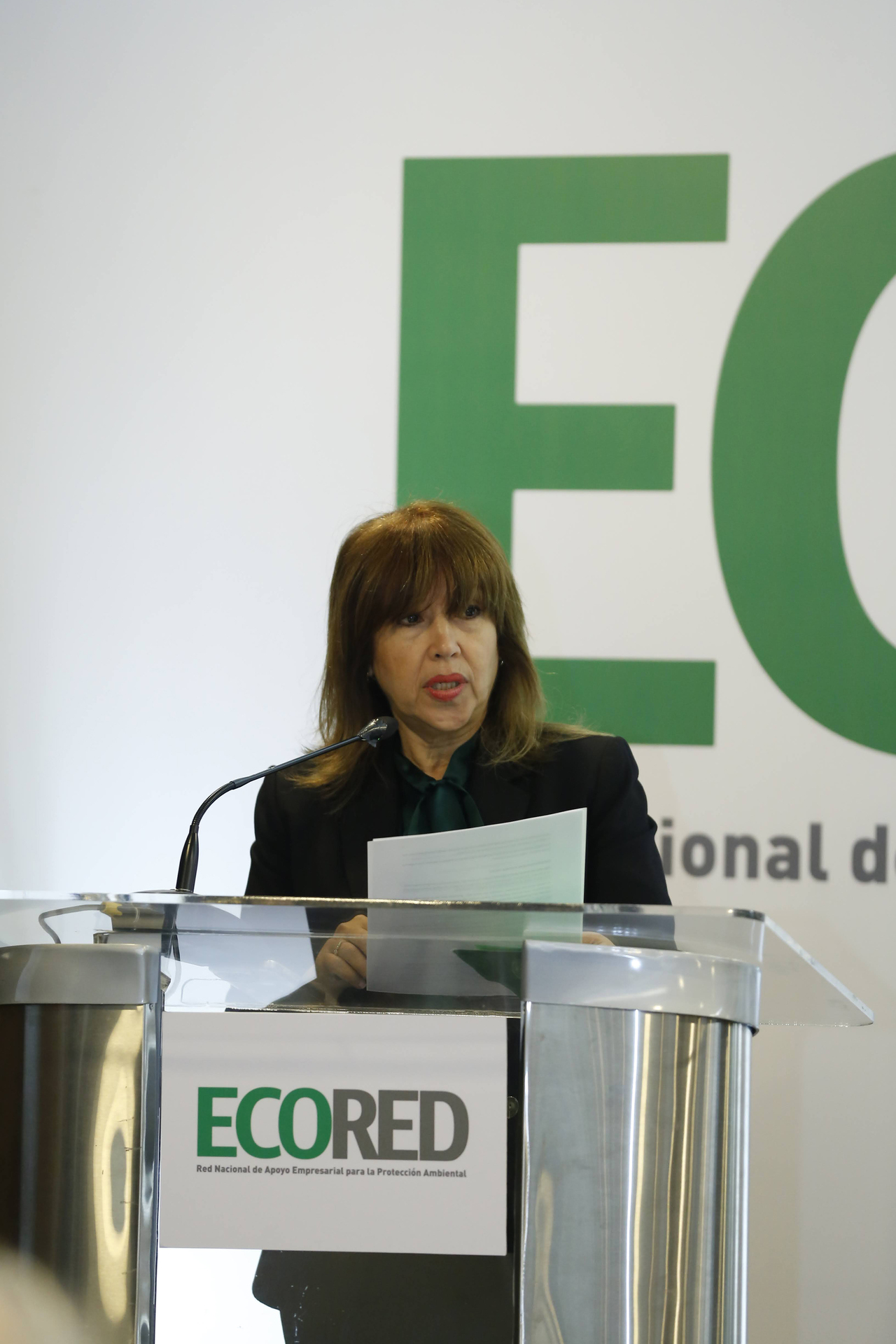 ECORED alerta sobre sobre impacto ambiental causaría reducir el Jardín Botánico.