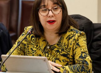 Libertad de prensa en peligro: Colegio de Periodistas de Chile en alerta por posible Ley Mordaza