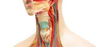 Cómo comunicarle a tus seres queridos un diagnóstico de cáncer de cabeza y cuello.