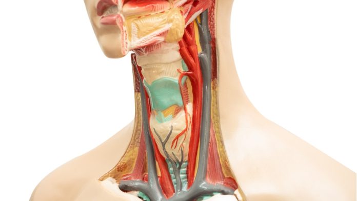 Cómo comunicarle a tus seres queridos un diagnóstico de cáncer de cabeza y cuello.