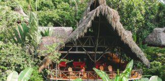 Dominican Tree House Village es el paraíso ecológico de Samaná con gastronomía artesanal