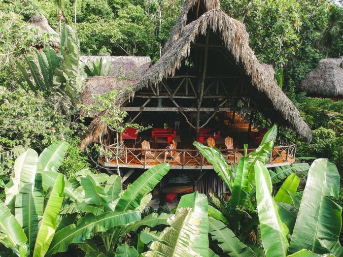 Dominican Tree House Village es el paraíso ecológico de Samaná con gastronomía artesanal