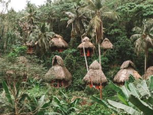 Dominican Tree House Village es el paraíso ecológico de Samaná con gastronomía artesanal