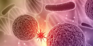 Recubrimiento de azúcar en células beta podría proteger contra la diabetes tipo 1