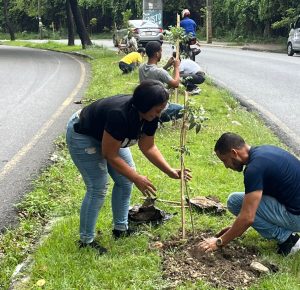 Fundación Ecológica Renacer impulsa jornada de reforestación en Cristo Rey