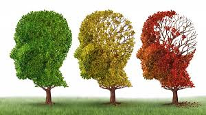 Asociación Dominicana de Alzheimer realizará caminata por el Día Mundial de la enfermedad