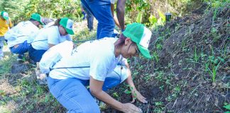 INFOTEP reafirma compromiso con el medio ambiente en jornada