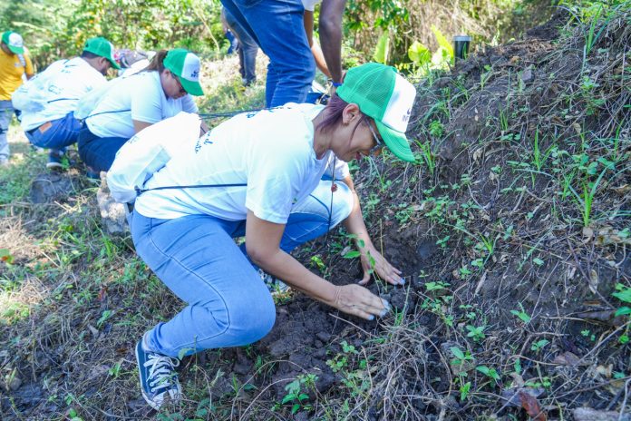 INFOTEP reafirma compromiso con el medio ambiente en jornada