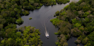 Periodistas en la Amazonía enfrentan violencia, precariedad y desinformación en la cobertura climática