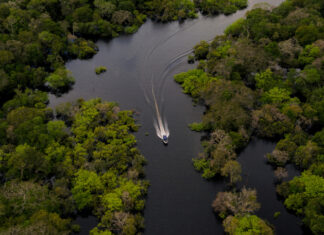 Periodistas en la Amazonía enfrentan violencia, precariedad y desinformación en la cobertura climática