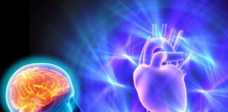 ¿Cómo la mente influye en la salud cardiovascular?