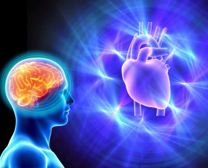 Untitled-1 ¿Cómo la mente influye en la salud cardiovascular?