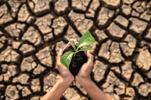 Trabajo conjunto y acción local son esenciales para combatir el cambio climático