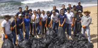 La Dirección General de Bellas Artes realiza jornada de limpieza en Playa Las Tortugas