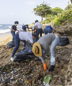 La Dirección General de Bellas Artes realiza jornada de limpieza en Playa Las Tortugas
