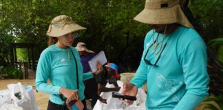 Fundación Cap Cana recolecta más de 380 kilos de desechos