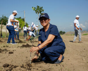 Voluntariado Banreservas siembra 1,500 caobas criollas en Navarrete 