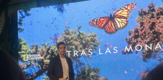 Jaime Rojo cautiva con su conferencia “Tras las Monarcas”