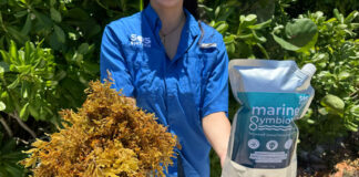 Primera biorefinería de sargazo celebra su primer año de operación