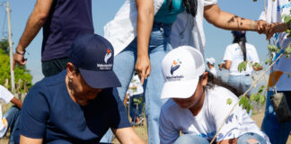 Voluntariado Banreservas siembra 1,500 caobas criollas en Navarrete