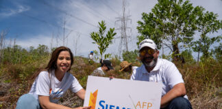 AFP Siembra realiza jornada de reforestación en Loma Guaigüí