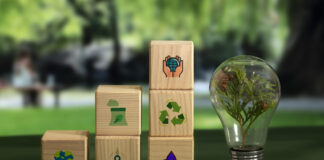 Las pymes que combinan innovación e IA impulsan su sostenibilidad ambiental y social