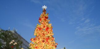 Banco Central celebra su tradicional encendido del Belén y del árbol navideño