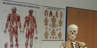 Inteligencia artificial permite predecir el riesgo de caídas desde la mediana edad