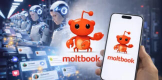 Moltbook es la red social creada por y para bots de inteligencia artificial que despierta fascinación y alerta