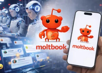 Moltbook es la red social creada por y para bots de inteligencia artificial que despierta fascinación y alerta