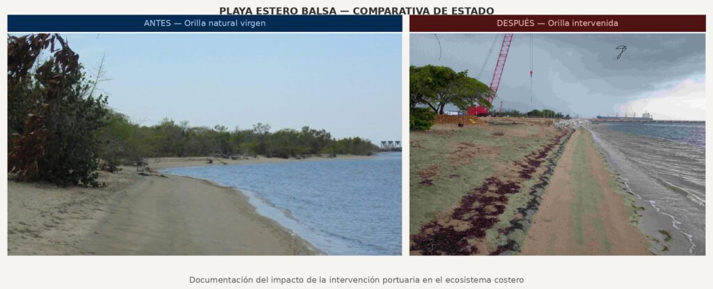 CEBAMDER solicita investigación independiente sobre planta Energía 2000 en Manzanillo antes de su inauguración