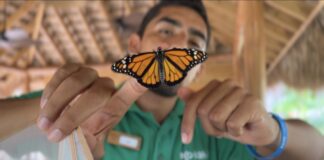 Fundación Eco-Bahía de Piñero impulsa la conservación ambiental con resultados históricos en 2025