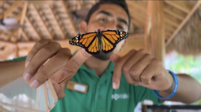 Fundación Eco-Bahía de Piñero impulsa la conservación ambiental con resultados históricos en 2025