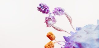Cánceres ginecológicos representan un desafío relevante para la salud femenina