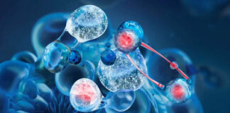 Los péptidos están revolucionando el futuro de la medicina regenerativa y el bienestar integral