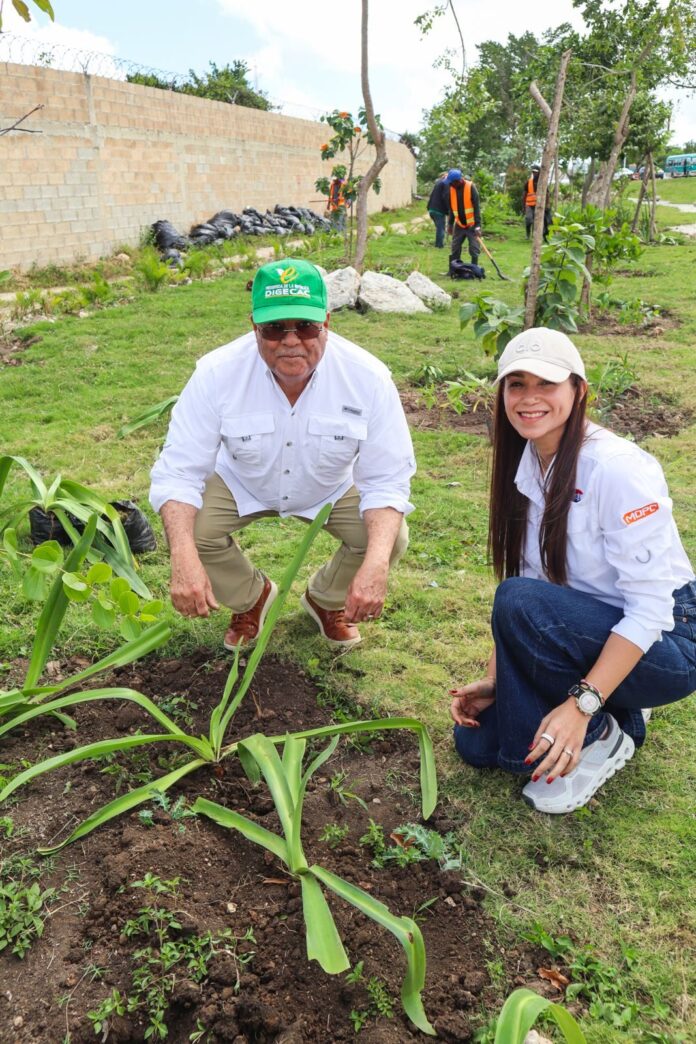 DIGECAC y RD-Vial siembran más de 20 mil plantas ornamentales en la Autopista del Coral y Las Américas