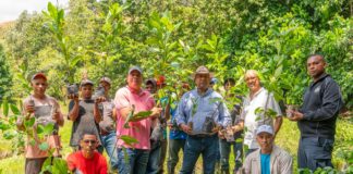Cacao Green inicia plan de reforestación como primer paso para el desarrollo de su proyecto ecológico en Juan Adrián
