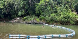 Alianza fortalece protección de la microcuenca del Higüero en La Cuaba