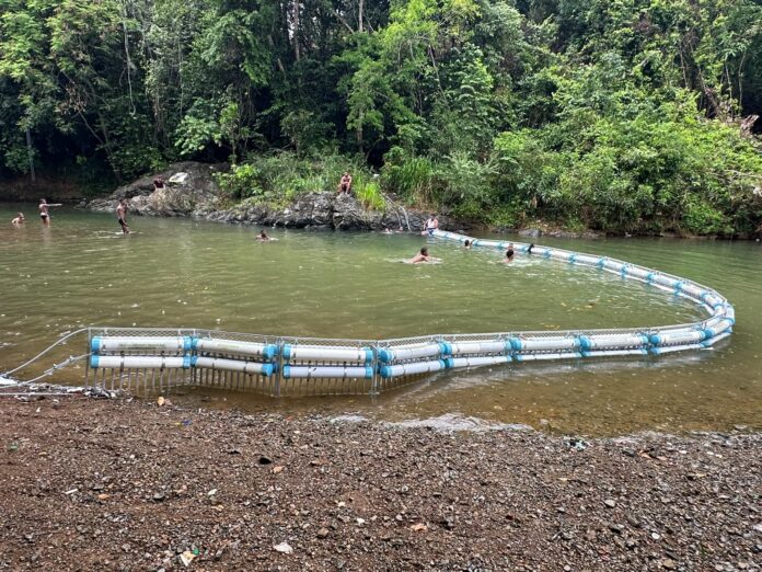 Biobarda Alianza fortalece protección de la microcuenca del Higüero en La Cuaba
